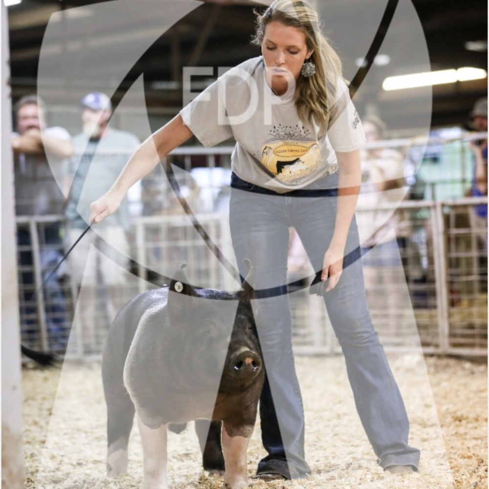 Meet your Posher, Emily